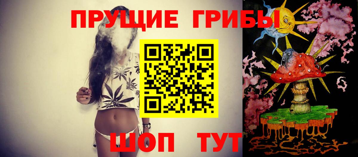 Заволжье  Псилоцибиновые грибы Psilocybe  купить   Вход с VPN 